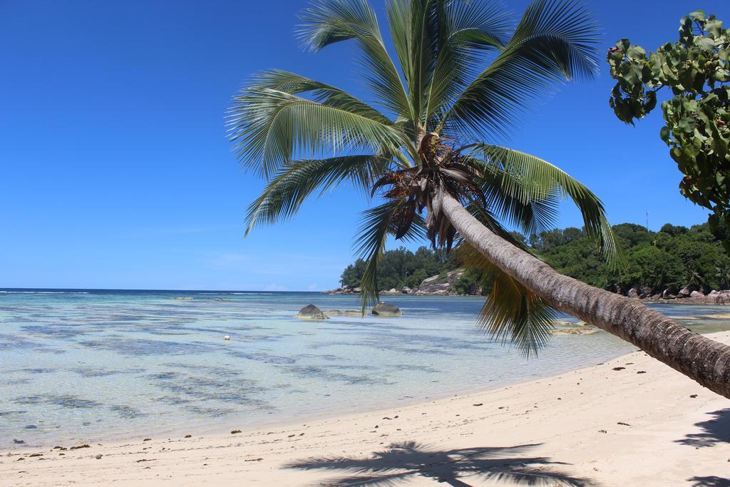 Villa Kordia Pointe Au Sel Eksteriør bilde